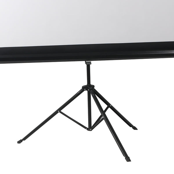 100 Inch Projector Screen