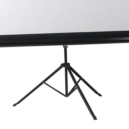 100 Inch Projector Screen
