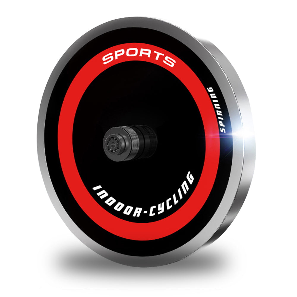 Powertrain Heavy Flywheel Exercise Spin Bike IS500 - Silver