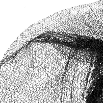 Bird Netting Anti Net Mesh Commercial Plant Fruit Trees 10M X 10M 30Gsm Black