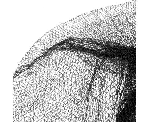 Bird Netting Net Anti Pest Commercial Fruit Trees Plant 10x20m -Black