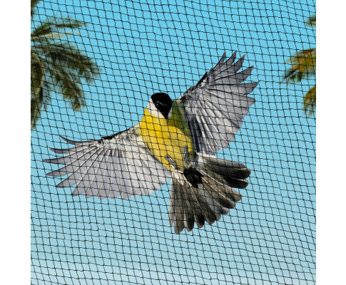 Bird Netting Net Anti Pest Commercial Fruit Trees Plant 10x30m-Black