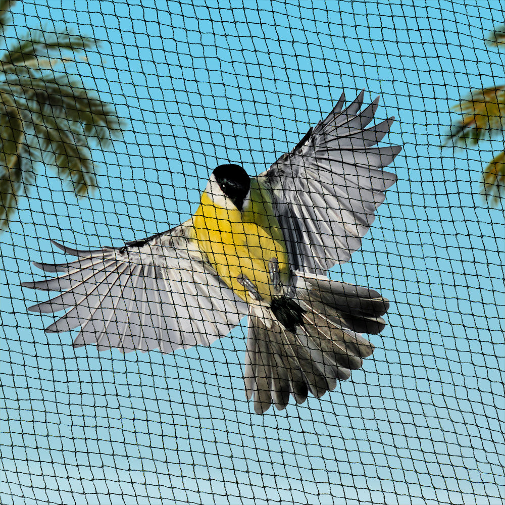 Bird Netting Net Anti Pest Commercial Fruit Trees Plant 5X10M 30Gsm Black