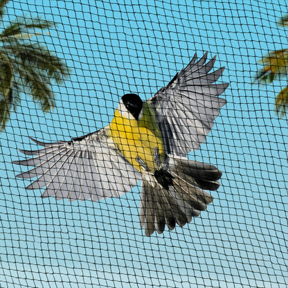 Bird Netting Net Anti Pest Commercial Fruit Trees Plant 5X10M 30Gsm Black