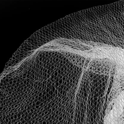 Bird Netting Net Anti Pest Commercial Fruit Trees Plant 5x10m 30GSM White