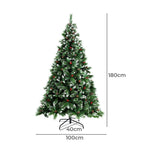 Christmas Tree Xmas Trees Green with Ornaments Decorations