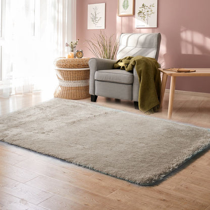 Floor Mat Rugs Shaggy Rug Area Carpet Large Soft Mats 300x200cm