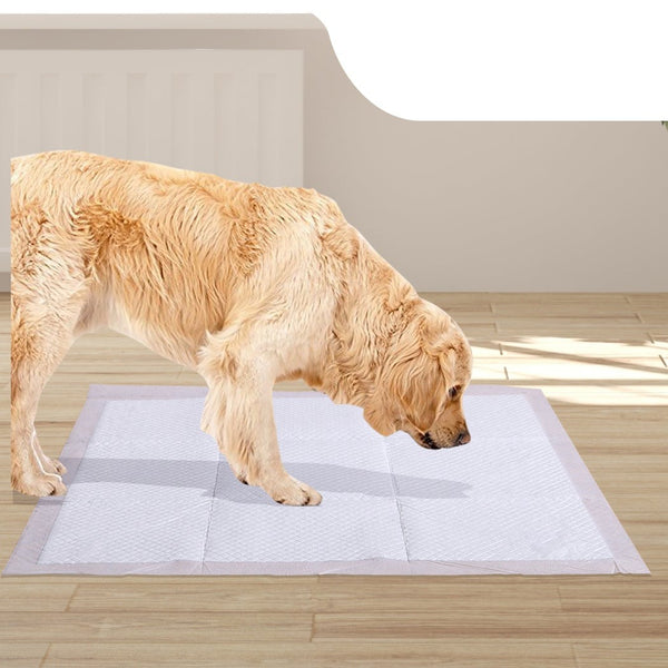  400 Pcs 60x60 cm Pet Puppy Dog Toilet Training Pads Absorbent Beige
