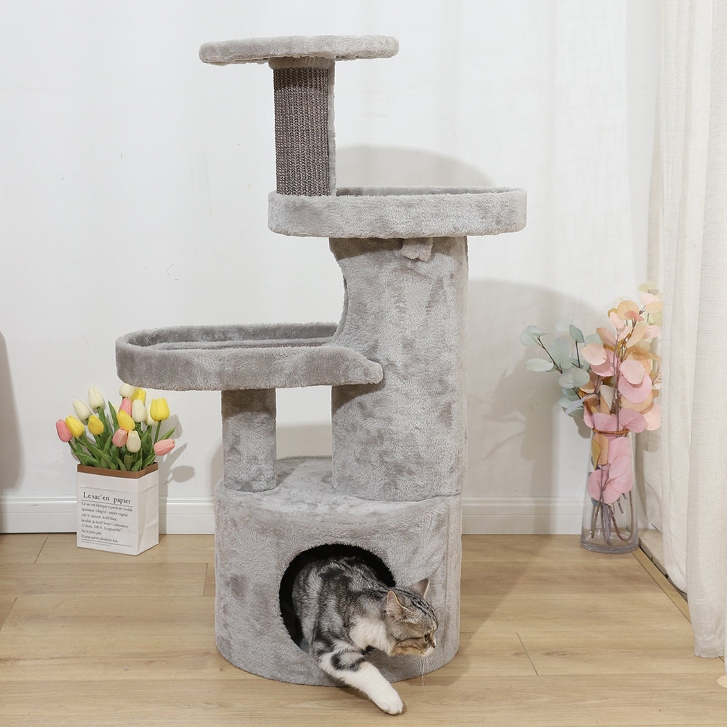 Play Pet Activity Kitty Bed