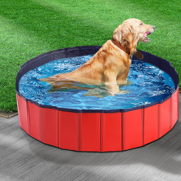 Pet Portable Swimming Pool -M