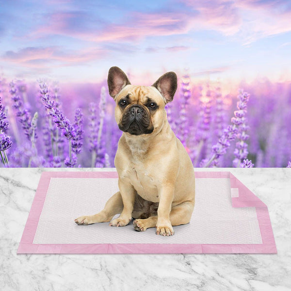  Pet Training Pads With Adhesive Tape Lavender Scent 400Pcs