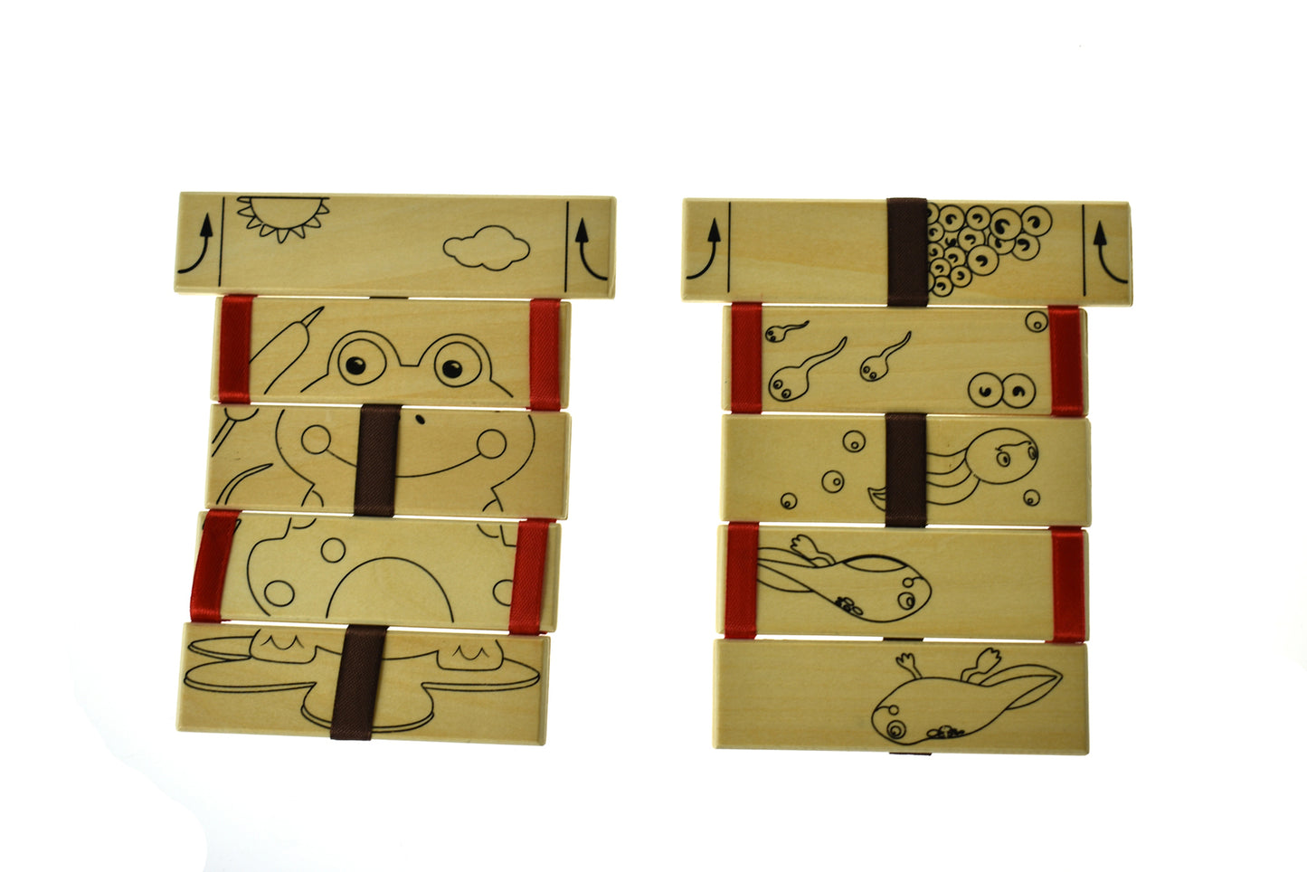 2 X Colouring Wooden Jacob's Ladder with 12 Colours Washable Markers