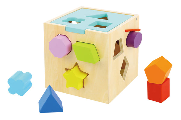  Shape Sorter With 12 Pcs Wooden Blocks