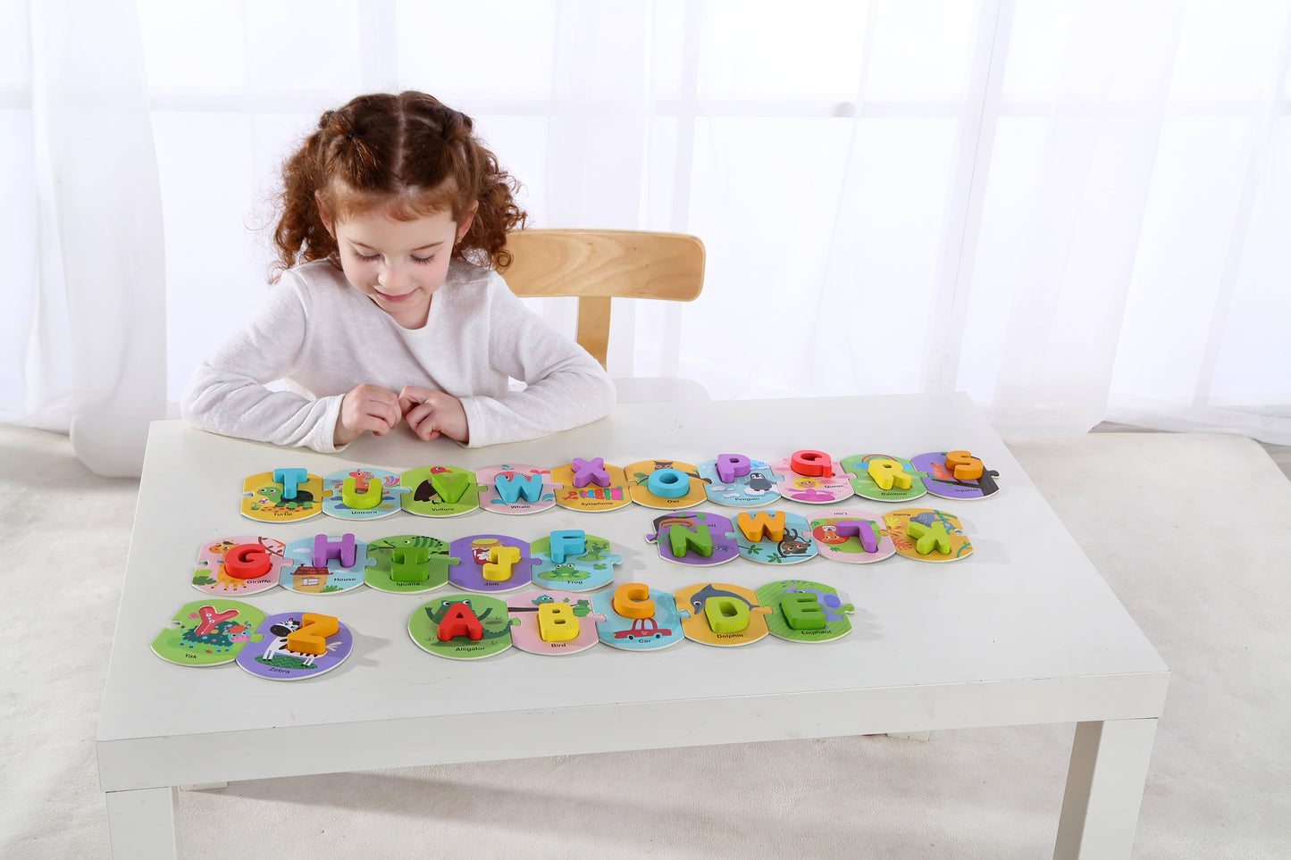 Alphabet Puzzle in Carry Box