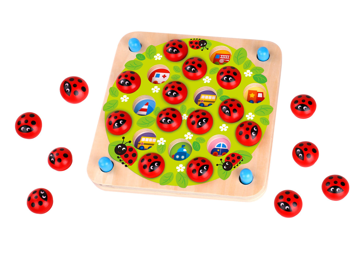MEMORY GAME - LADYBUG