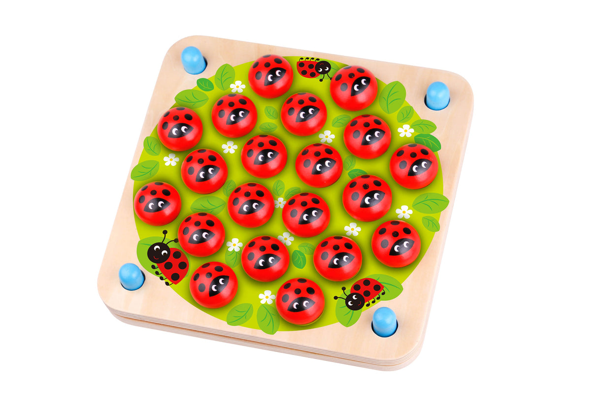 MEMORY GAME - LADYBUG