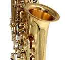 E Flat Alto Saxophone Brass Body Student