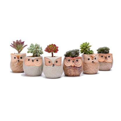 6PCS Mini Owl Plant Pots Ceramic Succulent Cactus Bonsai Flower Pots