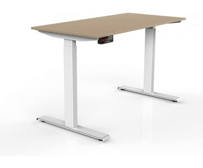 Electric Standing Desk, 100Kg Motorised Height Adjustable Computer Desk, Sit Stand Desk, Home Office (120 X 60 Cm / 47.2 X 23.6 Inch)