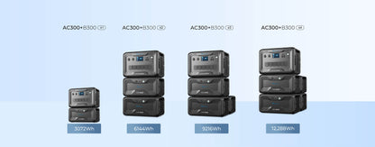 Ac300 Inverter Module Generator Only | 3,000W ( Must Work With B300 )