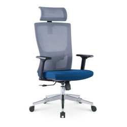 Ava - Office Chair (Grey & Blue) EK-OC-102-SQ