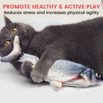 Usb Electric Fish Toy (Nemo)