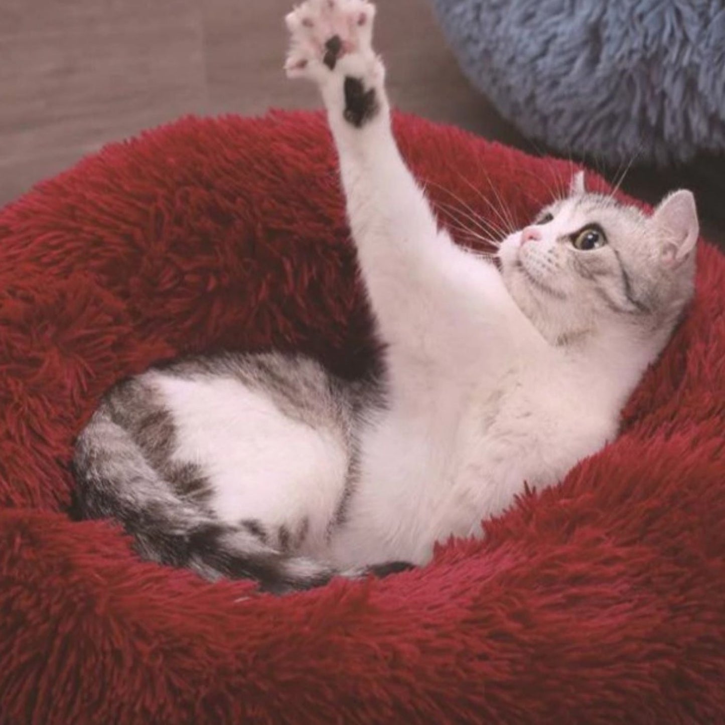 Pet Bed 60Cm (Rose Gold)
