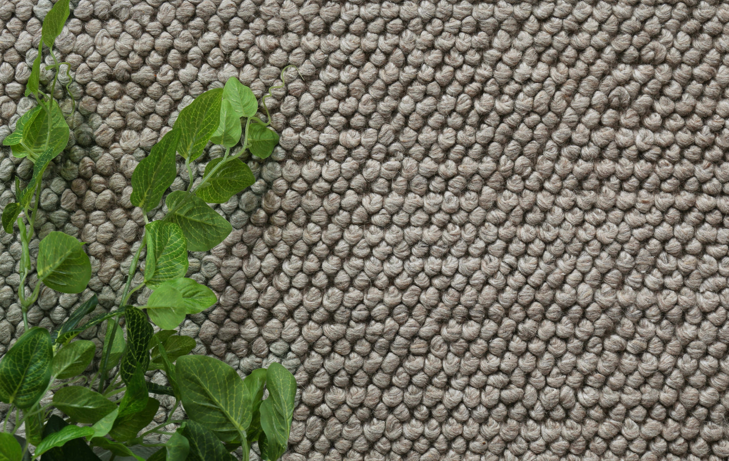 Loopy Camel Wool Blend Rug 240x330cm