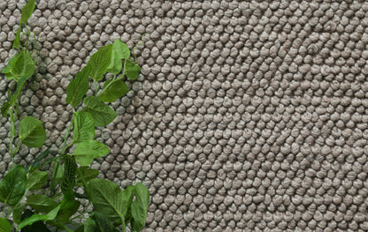 Loopy Camel Wool Blend Rug 240x330cm