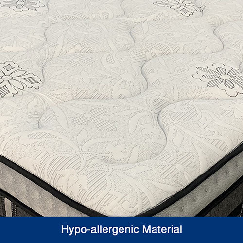 luxurious DuoCoil Mattress Queen Size
