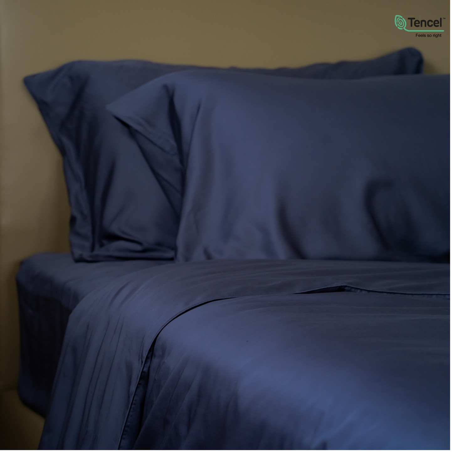 100% Lyocell Bedsheet Set for Queen/Double/King/Single Beds