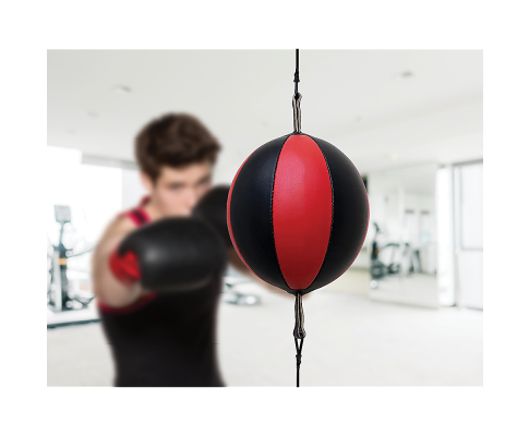 Floor To Ceiling Ball Boxing Punching Bag