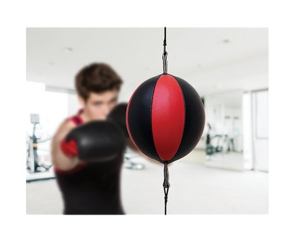Floor To Ceiling Ball Boxing Punching Bag