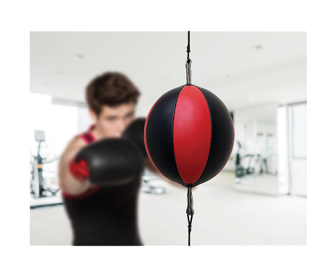  Floor to Ceiling Ball Boxing Punching Bag