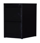 2-Drawer Shelf Office Gym Filing Storage Locker Cabinet