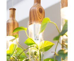 1000W HPS Globe Enhanced Super Grow Light Bulb Lamp