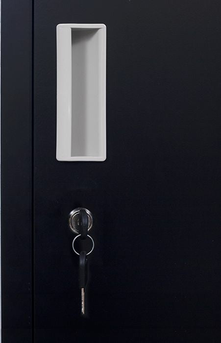 Standard locks 12 Door Locker for Office Gym - Black 
