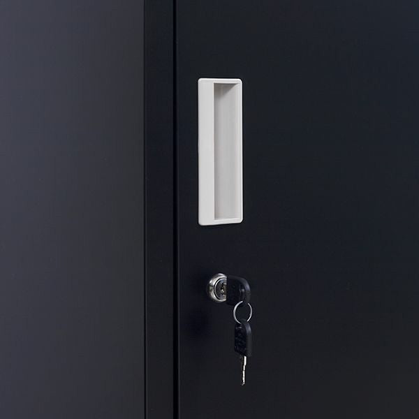 Standard locks 12 Door Locker for Office Gym - Black 
