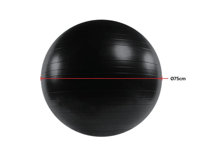 75cm Static Strength Exercise Stability Ball with Pump 
