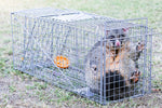 Animal Safe Trap Humane Possum Cage