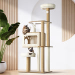 A Scratch Above the Rest: The Stylish and Functional Cat Condo House