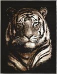 Dark tigerhead modern quality rug b24632/904