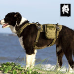 Whinhyepet Military Harness Army Green