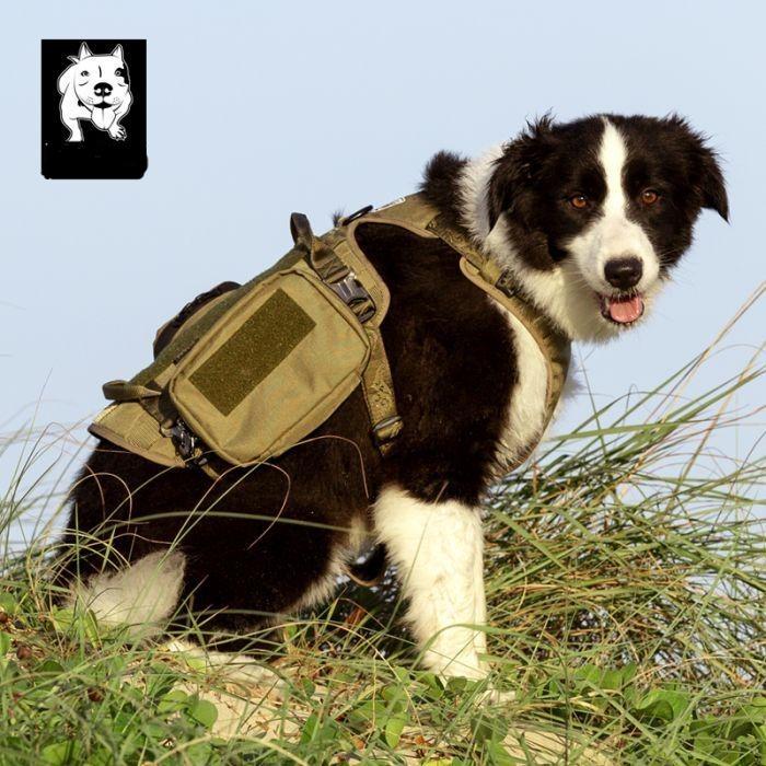Whinhyepet Military Harness Army Green