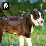 Whinhyepet Military Harness Black