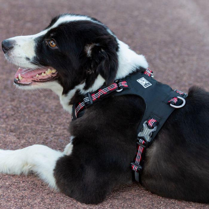 Lightweight 3M reflective Harness Black