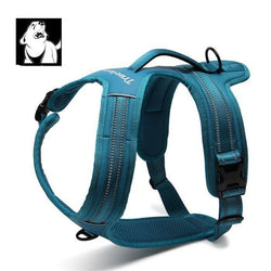 Reflective Heavy Duty Harness Blue