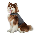 Breathable and soft Dog Thunder Anxiety Jacket XXL