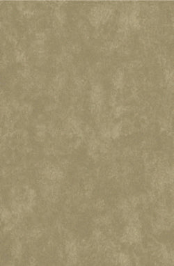 Elegance classy rug brown