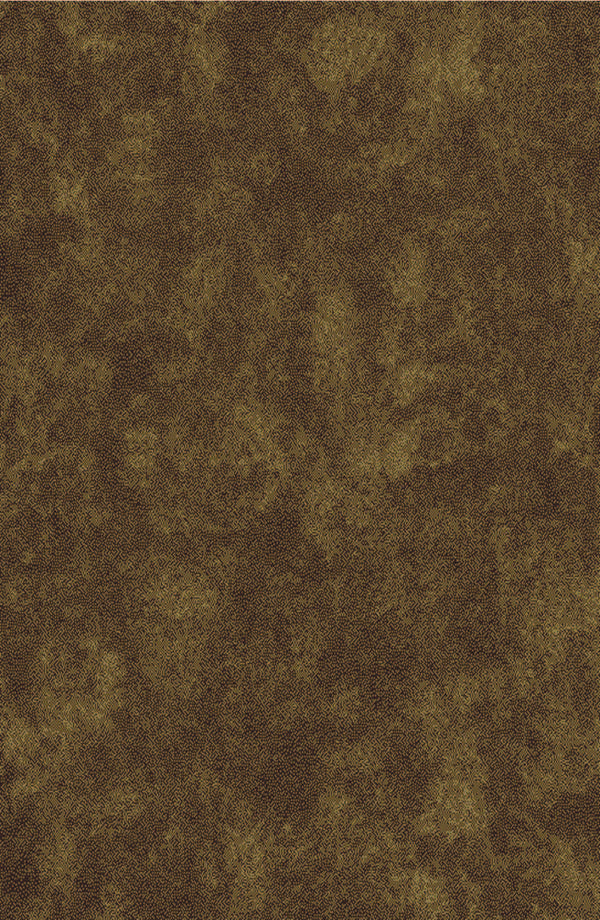  Elegance classy rug caramel